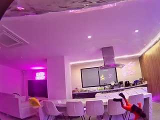 voyeurcam casa salsa fishtank